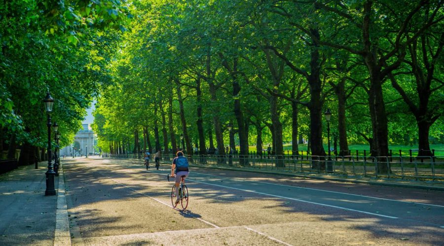 cyclist in hyde park